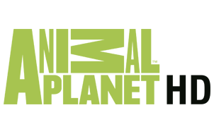 Animal Planet HD Logo